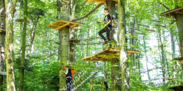 foto cu titlu ilustrativ