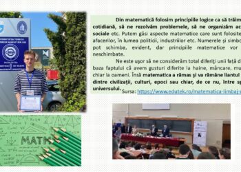 Beiușeanul Sebastian Roșia, premiat la faza națională a Concursului Național de Matematică Aplicată „Adolf Haimovici”