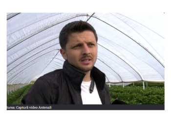 Cu ce fructe a dat lovitura un localnic din Oșorhei