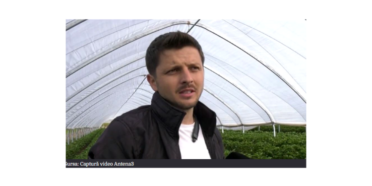 Cu ce fructe a dat lovitura un localnic din Oșorhei