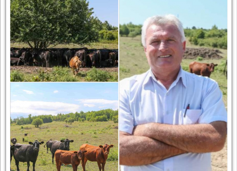 Slovacul care a investit la Tria într-o fermă cu peste 160 de vaci Angus. Gata să adopte un sistem de valorificare a cărnii foarte popular în Cehia