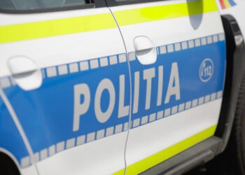 Tânără cercetată penal după ce şi-a lăsat căţelul să moară sufocat de caldură, încuiat în maşină