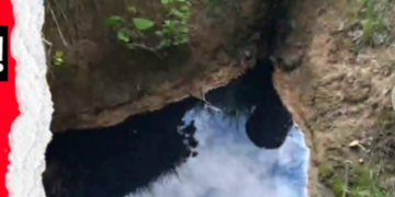 AVE, acuzată că deversează substanțe din deșeuri în câmp, la Delani. Nici o arteziană nu mai are apă potabilă la Beiuș