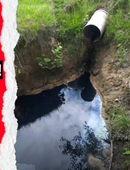 AVE, acuzată că deversează substanțe din deșeuri în câmp, la Delani. Nici o arteziană nu mai are apă potabilă la Beiuș