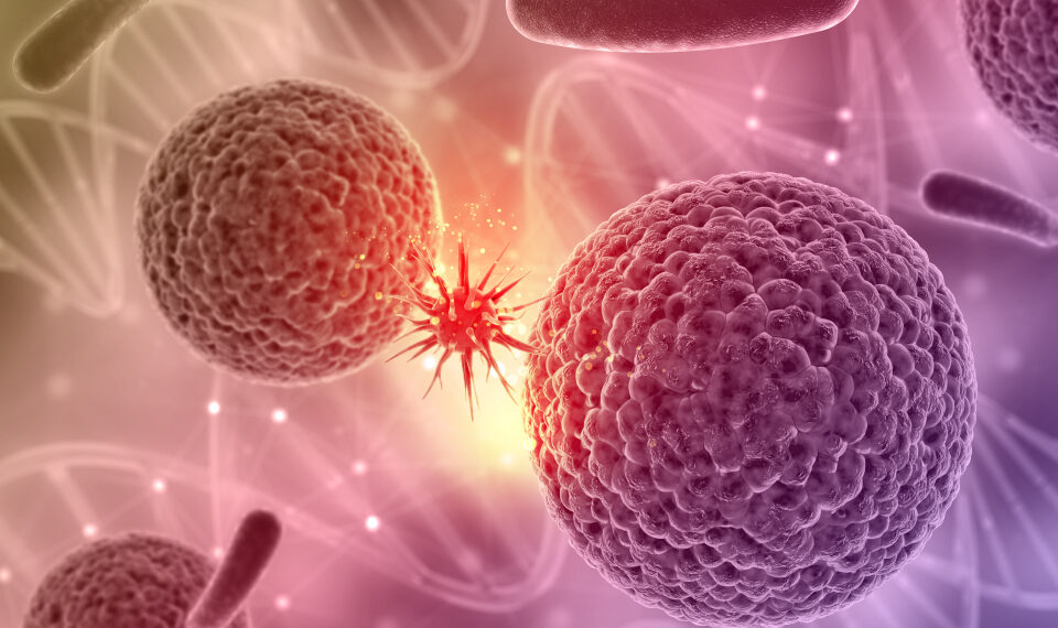 Rezultate „fără precedent” și „nemaivăzute”: un medicament oferă o remisiune completă a cancerului