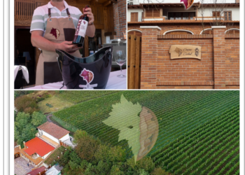 GALERIE. Vor construi un conac pentru turismul viti-vinicol la Diosig