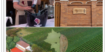 GALERIE. Vor construi un conac pentru turismul viti-vinicol la Diosig