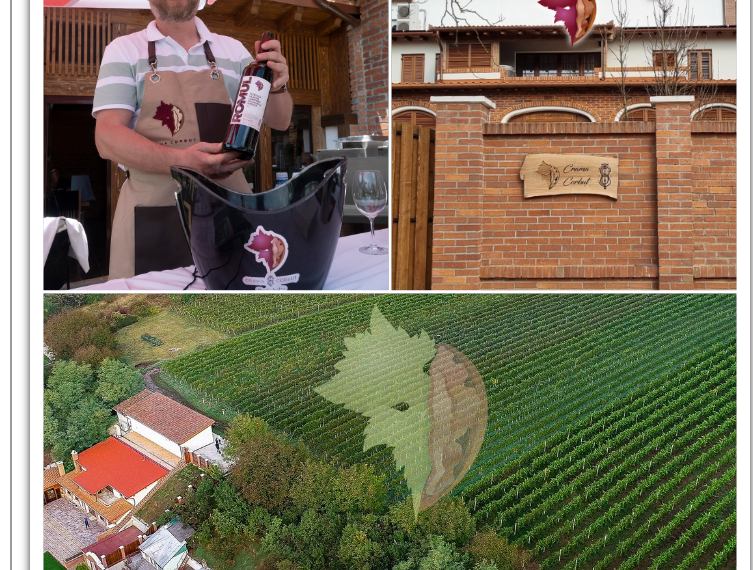 GALERIE. Vor construi un conac pentru turismul viti-vinicol la Diosig