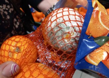 GALERIE. 175.000 amendă pentru Metro și Kaufland. Protecția Consumatorilor Bihor face publică imaginea mizeriei