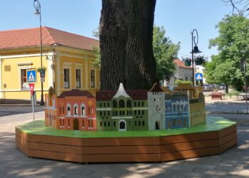 Copacul-surpriză construit în jurul celui mai bătrân stejar din Salonta