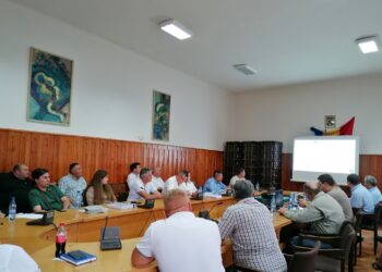 Fermierii se opun traseului drumului expres Arad-Oradea și tronsonul M44 care duce la Békéscsaba. Le înjumătășesc terenurile. CJBihor promite subpasaje