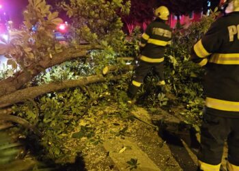 GALERIE. Potop peste Bihor. Au căzut cărămizi, semafoare, copaci