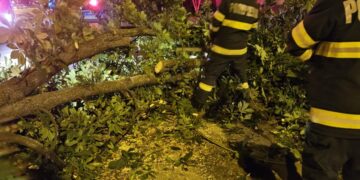 GALERIE. Potop peste Bihor. Au căzut cărămizi, semafoare, copaci