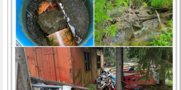 Dejecții în pârâurile din satul de vacanță Vârtop. Garda de Mediu în control