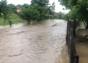 VIDEO. Potop la Cuzap. O doamnă de 60 de ani cu probleme locomotorii, salvată din ape