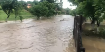 VIDEO. Potop la Cuzap. O doamnă de 60 de ani cu probleme locomotorii, salvată din ape