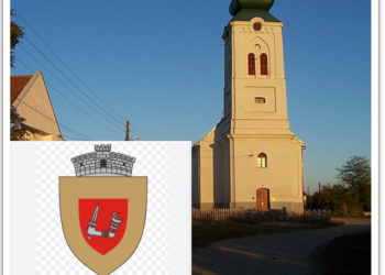 Primării în dificultate. 16 milioane ajutor de stat la 22 de localități. Primarul comunei beneficiare din Bihor, trimis în judecată fiindcă ar fi vrut să deconteze arbuști inexistenți de 100.000 euro