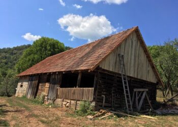 Un om de afaceri a cumpărat satul bunicilor săi