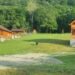 Urs în zona unei cabane din Vârciorog.