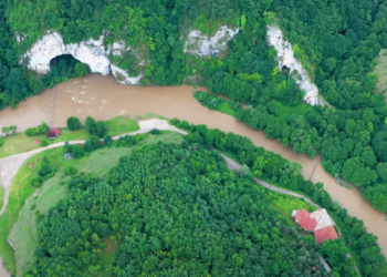 CJ Bihor a pus mâna pe 8 milioane de euro pentru protejarea şi conservarea biodiversităţii din Defileul Crișului Repede