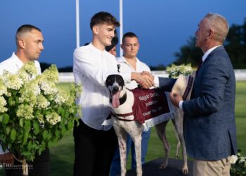 GALERIE. Cristiano Ronaldo, ogarul englezesc antrenat de Abel Bodog la Păulești, cel mai rapid în Derby-ul Ungariei.  “Poate o să primesc șansa de a antrena măcar pe câmp…“