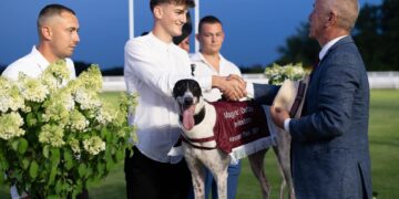 GALERIE. Cristiano Ronaldo, ogarul englezesc antrenat de Abel Bodog la Păulești, cel mai rapid în Derby-ul Ungariei.  “Poate o să primesc șansa de a antrena măcar pe câmp…“