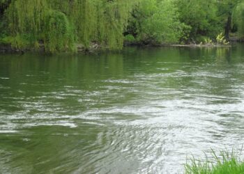 Garda de Mediu a verificat 78 de cursuri de apă. Ce au descoperit inspectorii