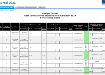 Un singur elev din Bihor cu 10 la Bac. Primii din afara Oradiei sunt un filolog de la Salonta cu 9,90 și un elev de la Constantin Serban Aleșd