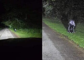 Bebeluș părăsit în pustietate. O nouă metodă de tâlhărie