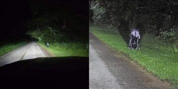 Bebeluș părăsit în pustietate. O nouă metodă de tâlhărie