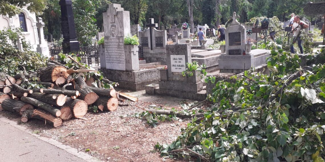 GALERIE. Episcopul Virgil Bercea și un grup de preoți au înlăturat copacii căzuți peste morminte în cimitir