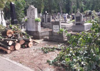 GALERIE. Episcopul Virgil Bercea și un grup de preoți au înlăturat copacii căzuți peste morminte în cimitir