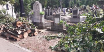 GALERIE. Episcopul Virgil Bercea și un grup de preoți au înlăturat copacii căzuți peste morminte în cimitir