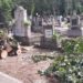 GALERIE. Episcopul Virgil Bercea și un grup de preoți au înlăturat copacii căzuți peste morminte în cimitir