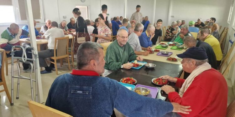 Control la bunicii lui Viorel Pașca: Ce bucurie, ce șansă să ai acasă aproape douazeci de inspectori…Puțin mai lipsea să fiu acuzat de „sechestrare de inspectori”…