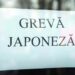 Angajații de la Registrul Comerțului vor face exces de zel toată săptămâna. Sunt în grevă japoneză în perioada 17 – 21 iulie