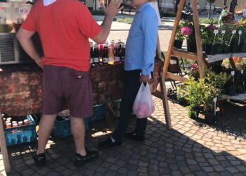 Dau ultimatum liberalilor: Până în toamnă, piețele volante trebuie să ajungă în cartiere!