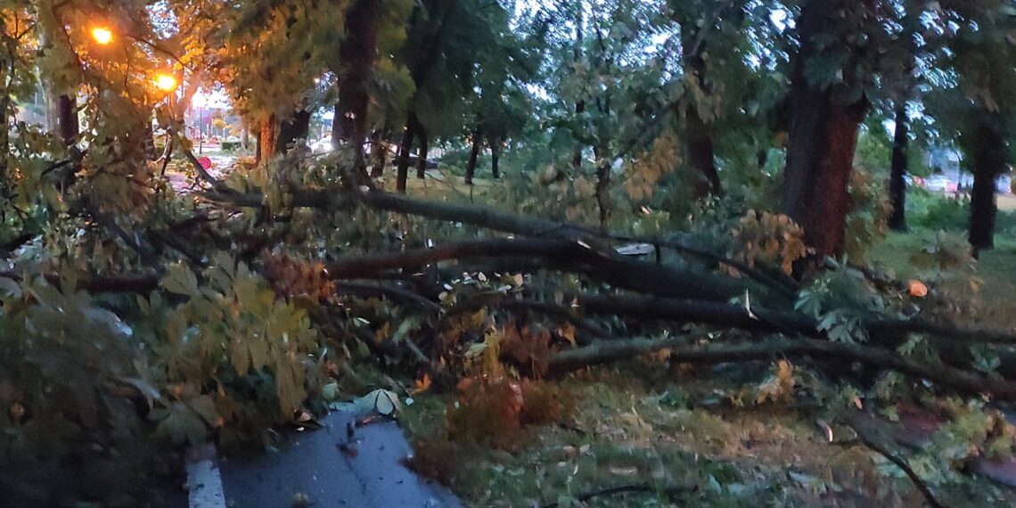 GALERIE. VIDEO. În doar 5 minute…Parcurile 1 Decembrie, Bălcescu și Brătianu, practic, nu mai există