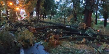 GALERIE. VIDEO. În doar 5 minute…Parcurile 1 Decembrie, Bălcescu și Brătianu, practic, nu mai există