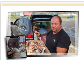 O barză, cu piciorul fracturat în timpul furtunii, operată la Târgu Mureș