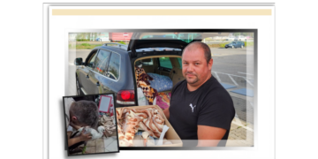 O barză, cu piciorul fracturat în timpul furtunii, operată la Târgu Mureș