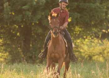 Povestea tragică a tânărului care a murit încarcerat în balotiera din Săcădat. Luase un cred pentru a cumpăra utilajele care i-au adus sfârșitul