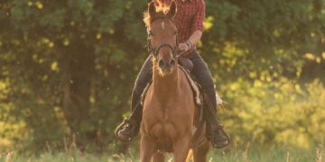 Povestea tragică a tânărului care a murit încarcerat în balotiera din Săcădat. Luase un cred pentru a cumpăra utilajele care i-au adus sfârșitul