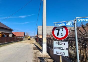 USR cere desființarea comisiilor județene de atribuire de denumiri. Economii de 6,8 milioane lei pe an