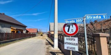 USR cere desființarea comisiilor județene de atribuire de denumiri. Economii de 6,8 milioane lei pe an