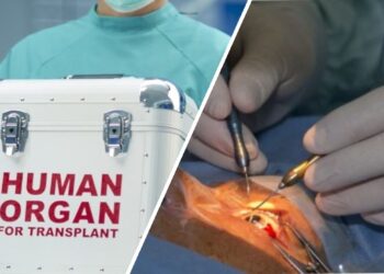 Medici trimişi în judecată pentru trafic de organe / Şi-au făcut afacere din importul ilegal a sute de cornee