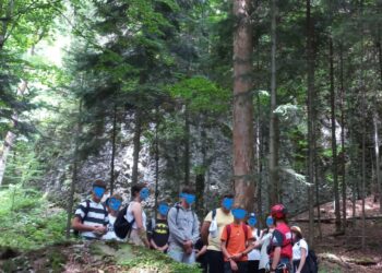 Salvamontiştii, în alertă: un grup de copii şi un adult s-au rătăcit în Ceahlău