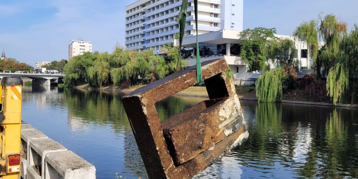 GALERIE. Jardinierele de pe malul crișului, aruncate în apă de vandali