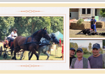 GALERIE. Arpășel, locul unde pasiunea pentru cai e o tradiție din 1998. Concursul de atelaje, un regal al eleganței