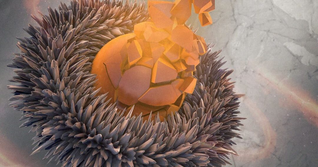 Ce n-a văzut Aleșd-ul de 50 de ani…Invitați la Big Bang